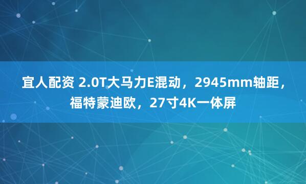 宜人配资 2.0T大马力E混动，2945mm轴距，福特蒙迪欧，27寸4K一体屏